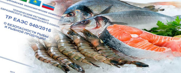 Проводятся общественные обсуждения нового Техрегламента «О безопасности рыбы»