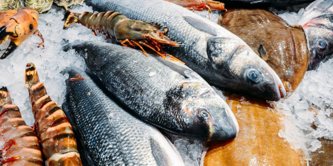Товары, соответствующие техническому регламенту о безопасности рыбы, были включены в перечень