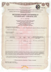 Ветеринарный сертификат на языках ТС