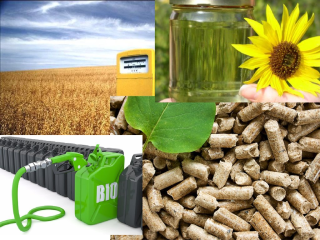 Осенью 2011 года были приняты схемы сертификации биотоплива на предмет его устойчивости